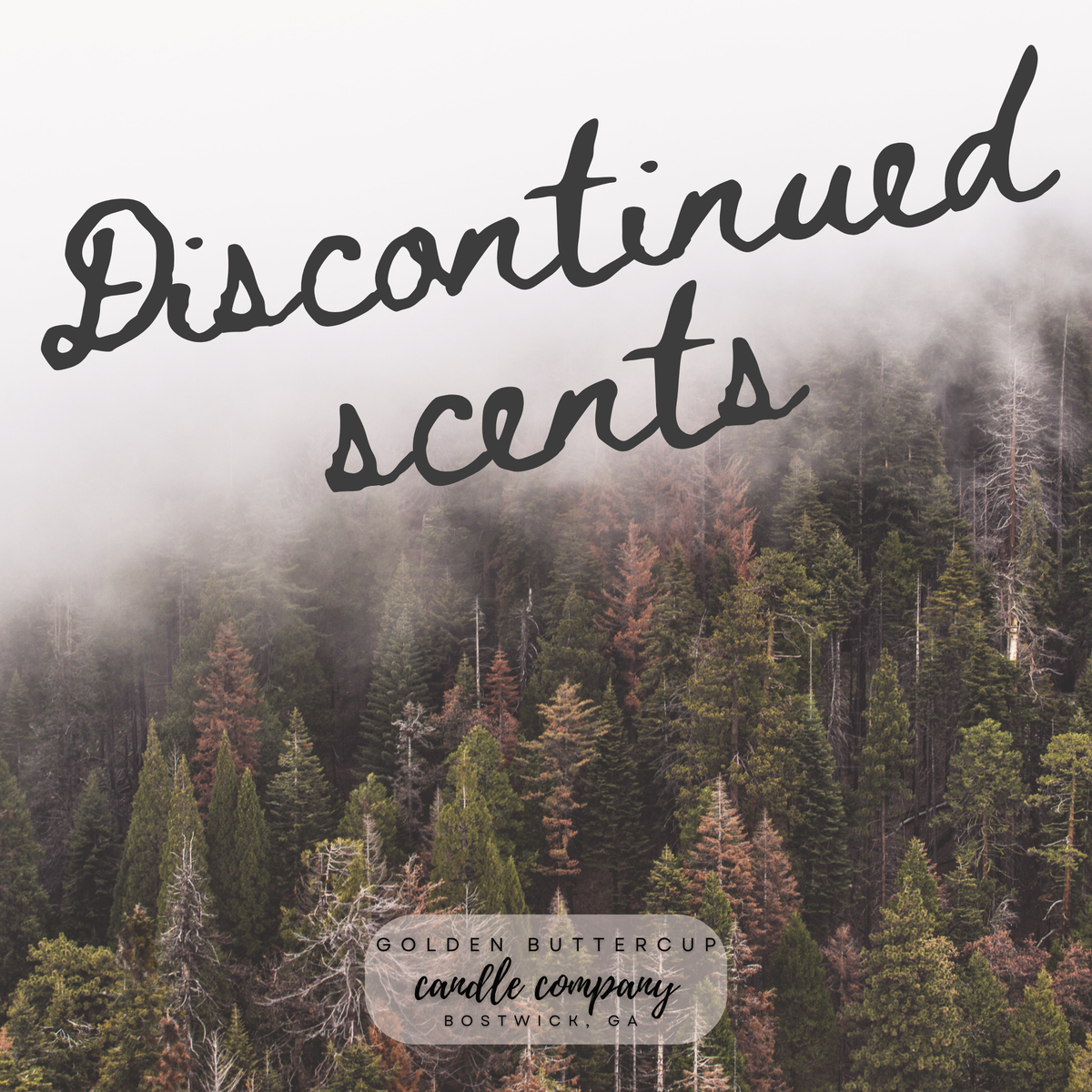 [DISCONTINUED SCENTS]