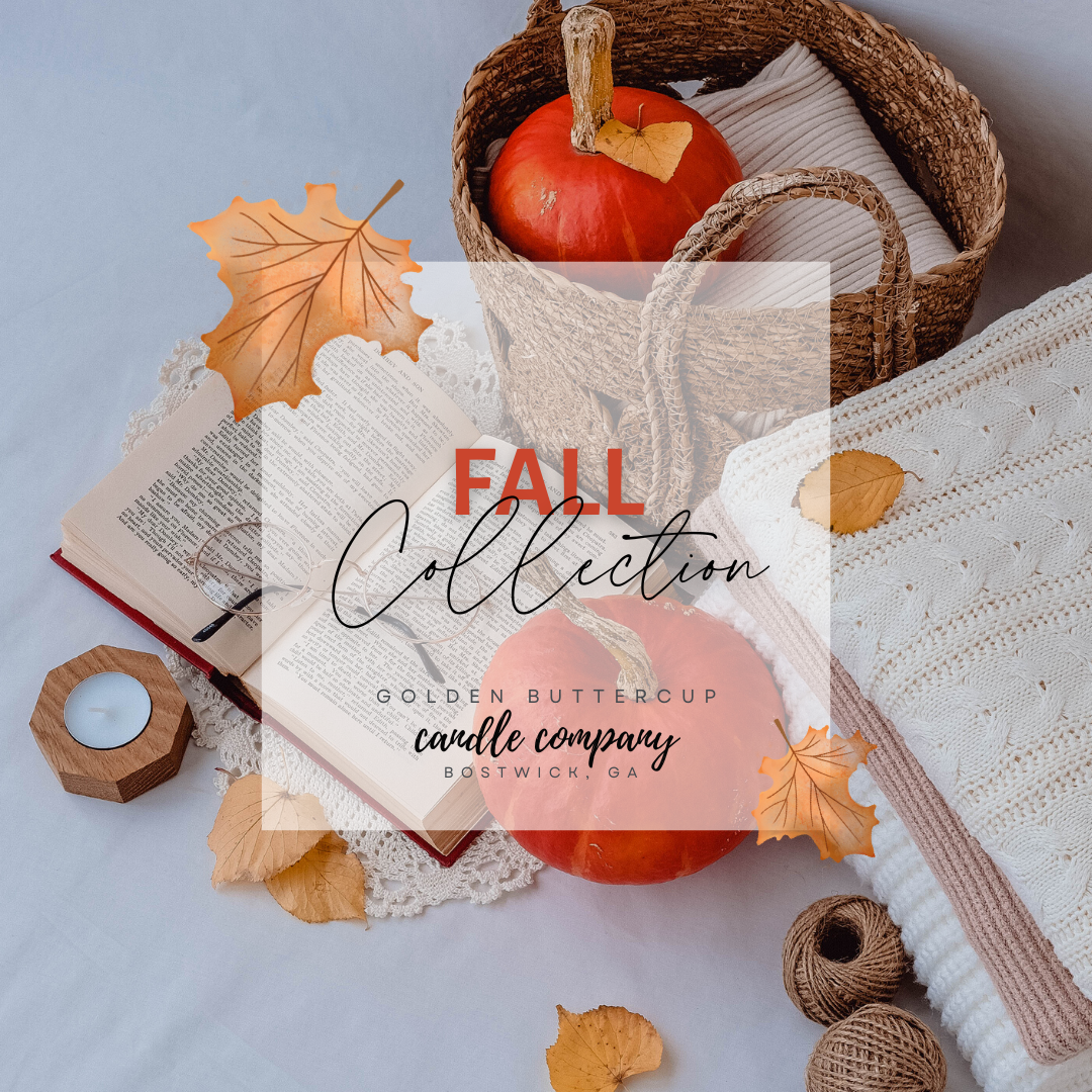 [FALL COLLECTION]